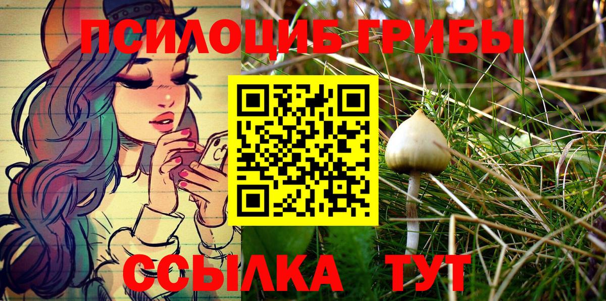 Верхняя Салда  Галлюциногенные грибы ЛСД  цена   Вход с VPN 