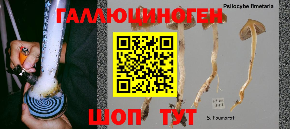 Псилоцибиновые грибы прущие грибы  Верхняя Салда 