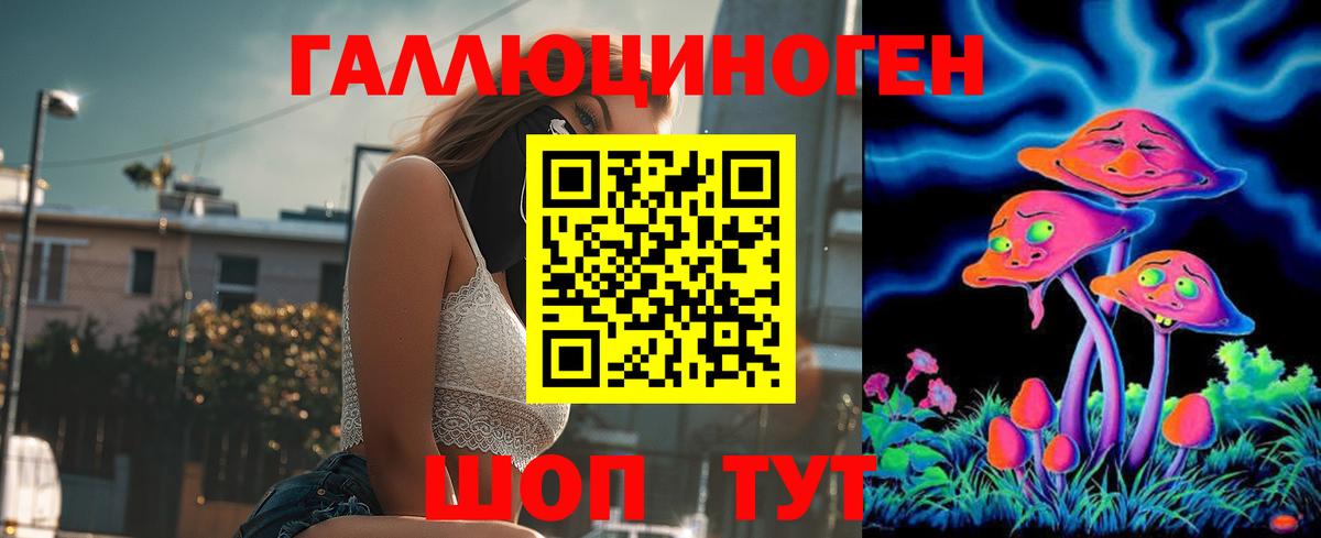 Псилоцибиновые грибы Psilocybine cubensis Верхняя Салда